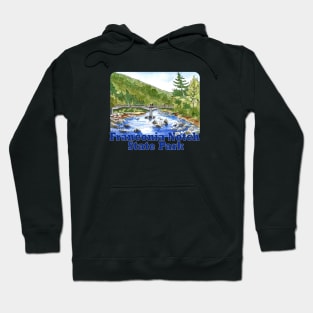 Franconia Notch State Park, New Hampshire Hoodie